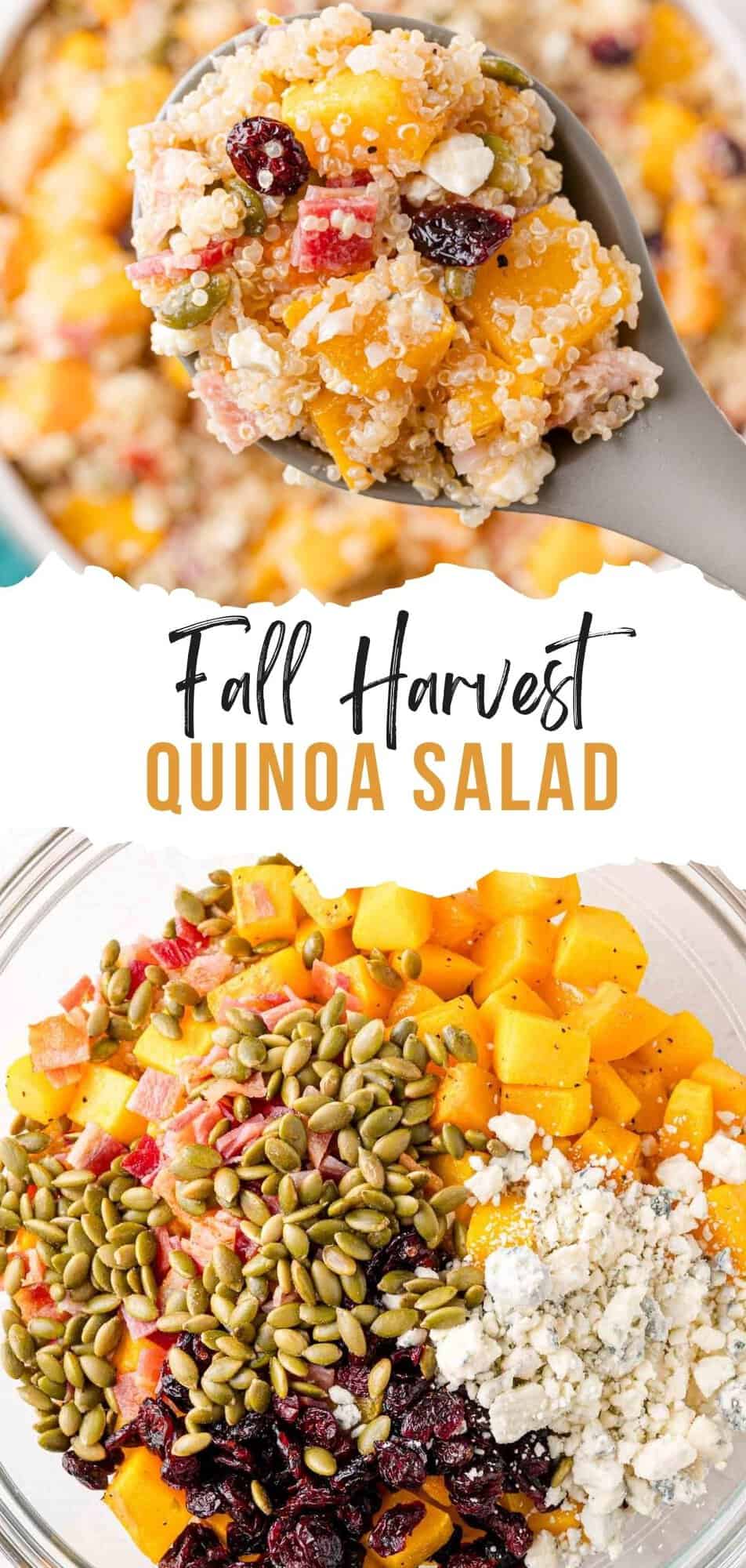 Fall Quinoa Salad Pinterest graphic with text and photos.