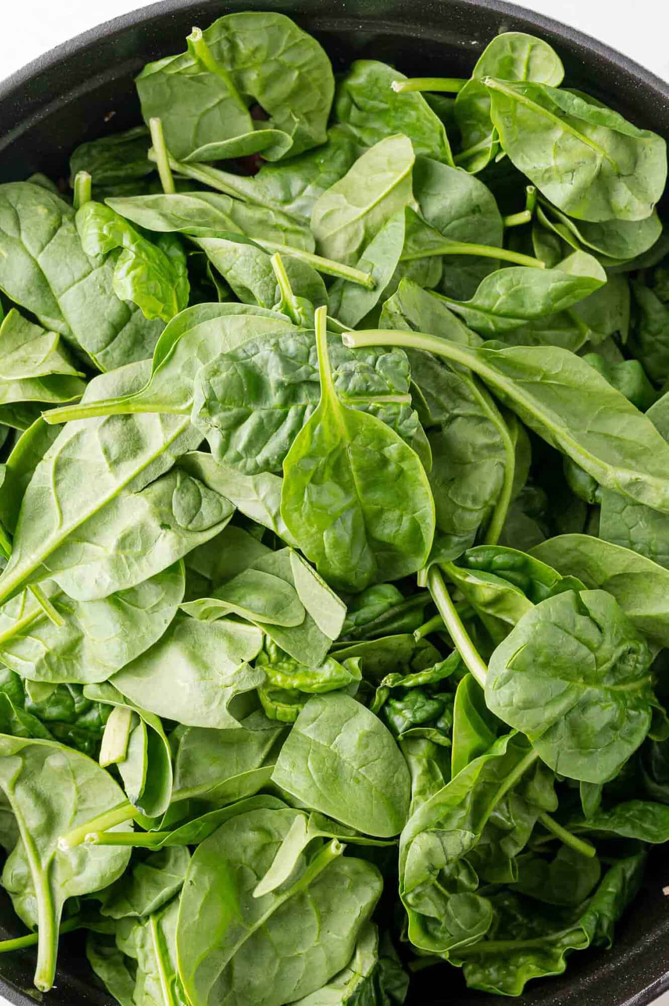 A pot filled with fresh spinach leaves.