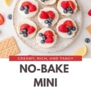 No-Bake Mini Cheesecakes Pinterest graphic with text and photos.