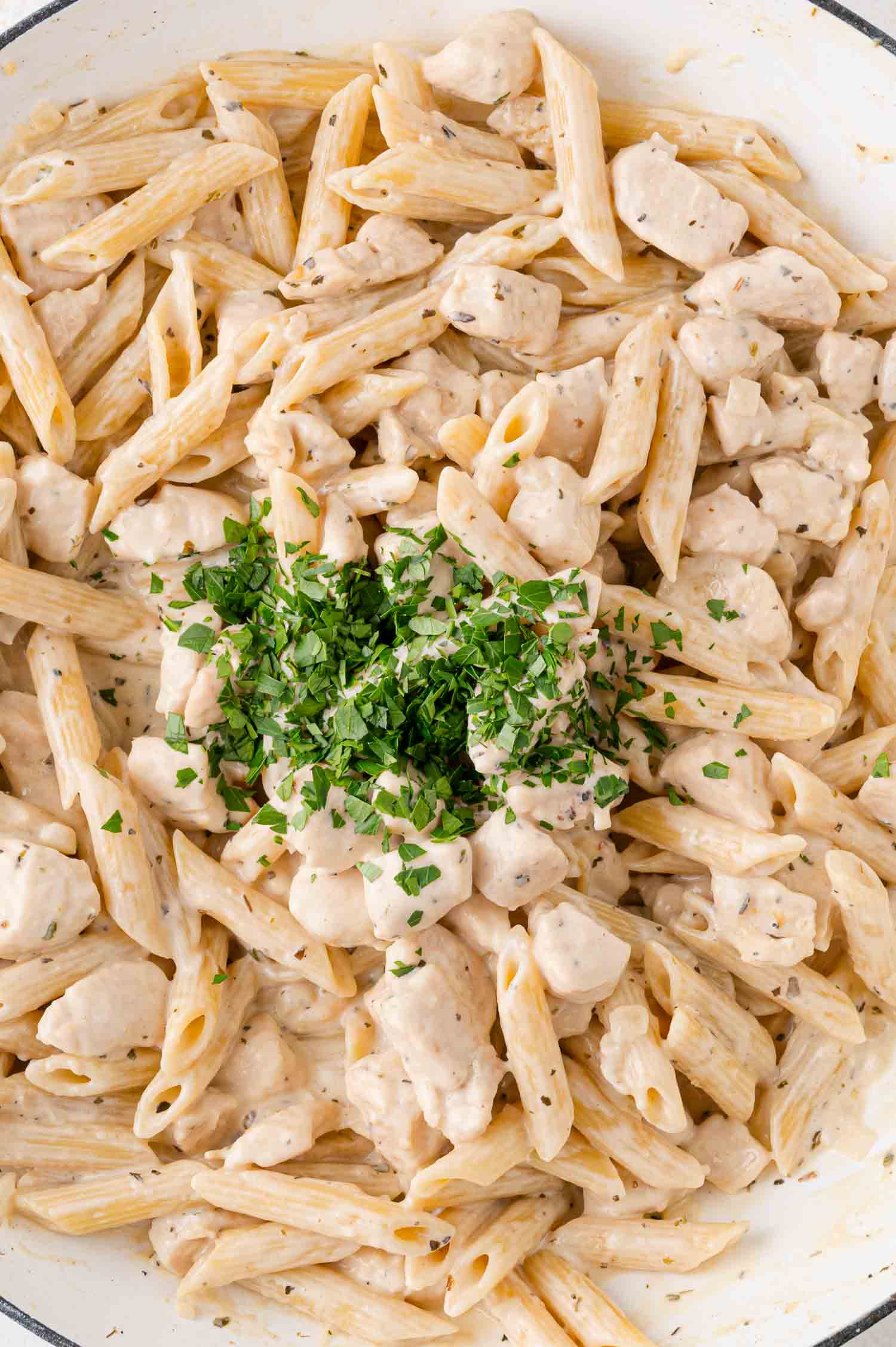 Close-up of creamy chicken pasta garnished with chopped parsley.