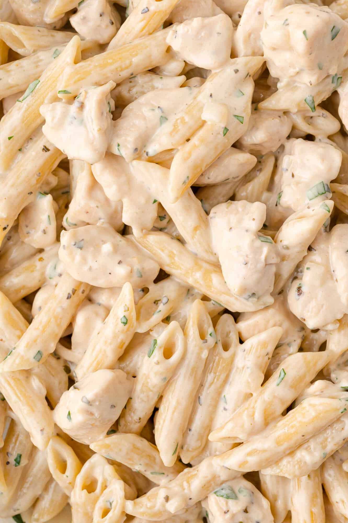 Close-up of creamy penne pasta with a white sauce, garnished with herbs.