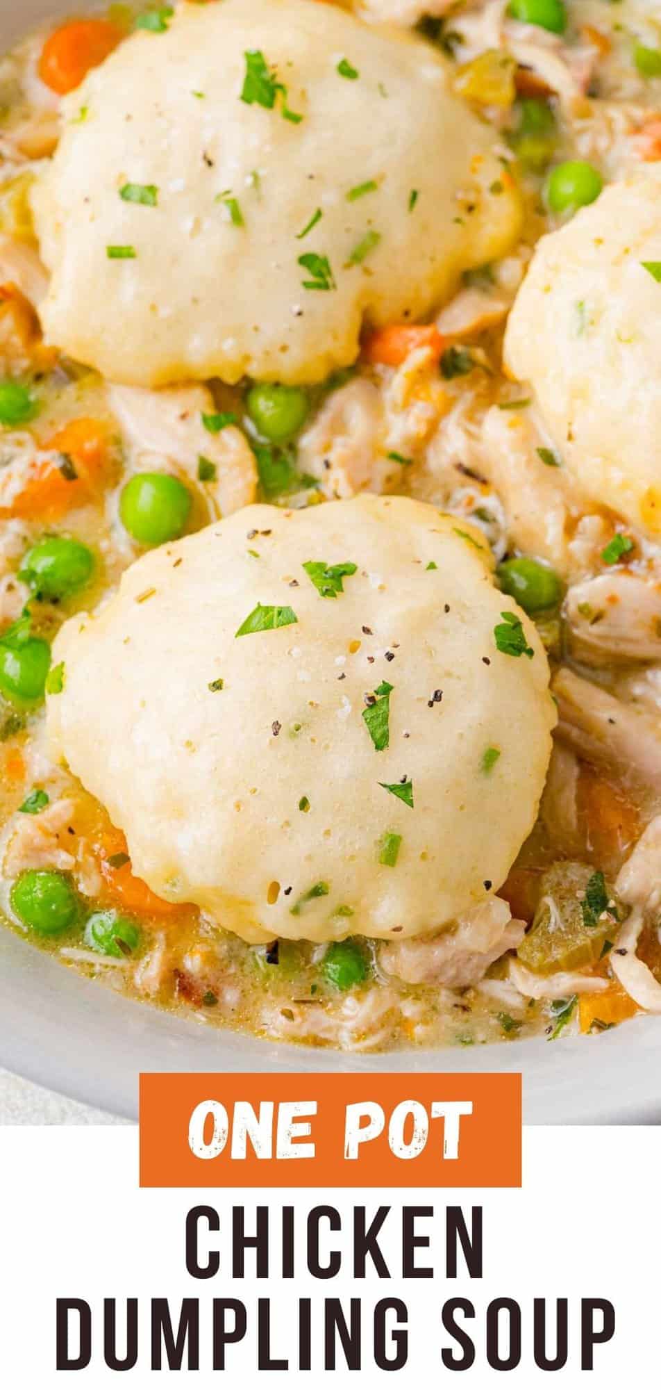 Chicken dumpling soup Pinterest graphic with text and photos.