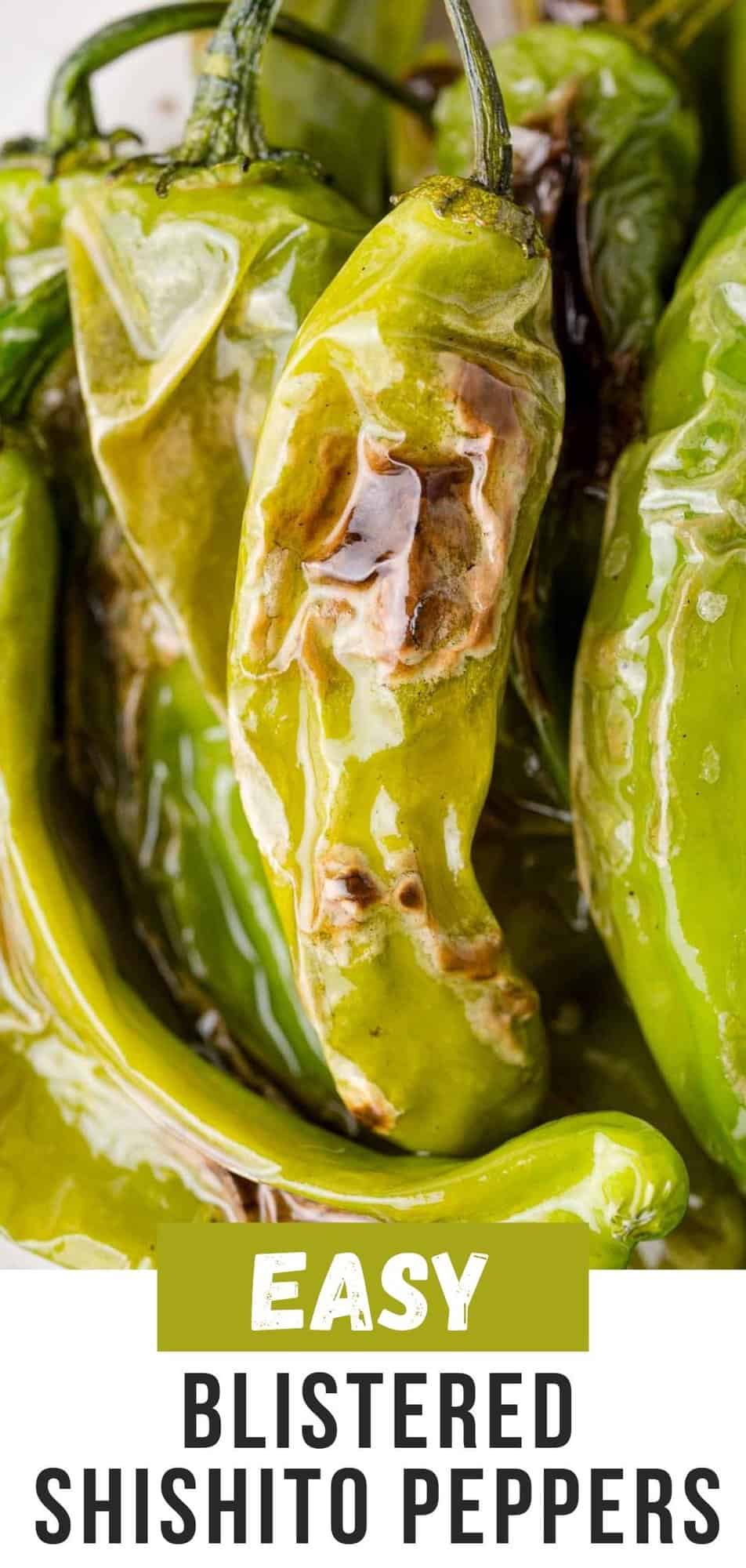 Blistered shishito peppers Pinterest graphic with text and photos.