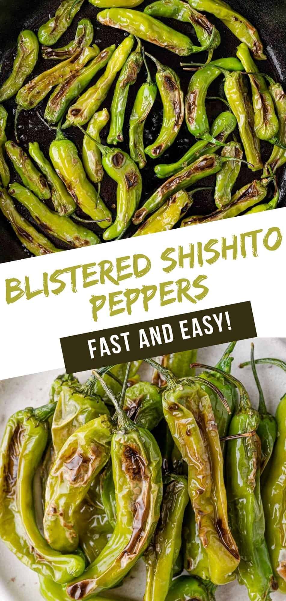 Blistered shishito peppers Pinterest graphic with text and photos.
