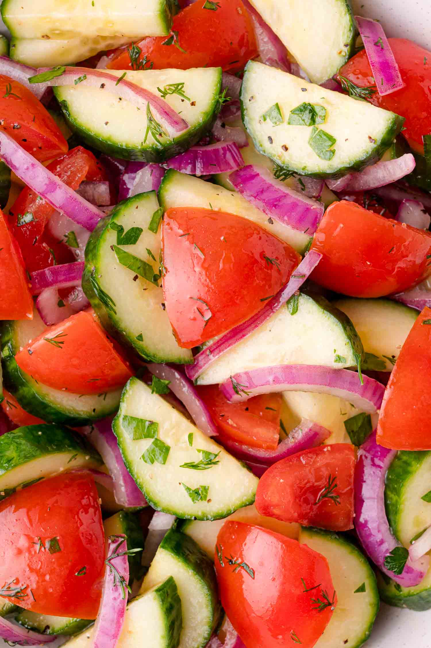 Close-up of a fresh salad with sliced cucumbers, tomatoes, red onions, and herbs, lightly coated with dressing.