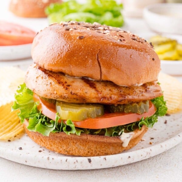 Grilled chicken sandwich with lettuce, tomato, pickles, and sauce on a seeded bun, served with potato chips on a white plate.