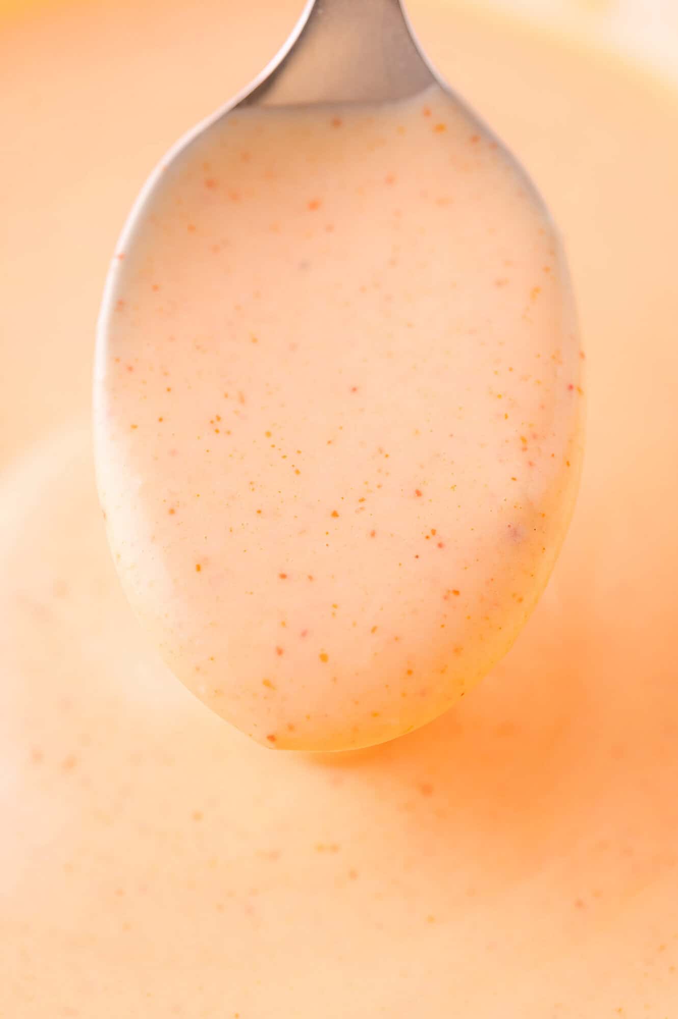 A close-up of a spoon holding a creamy, orange-colored yum yum sauce with visible specks of seasoning.