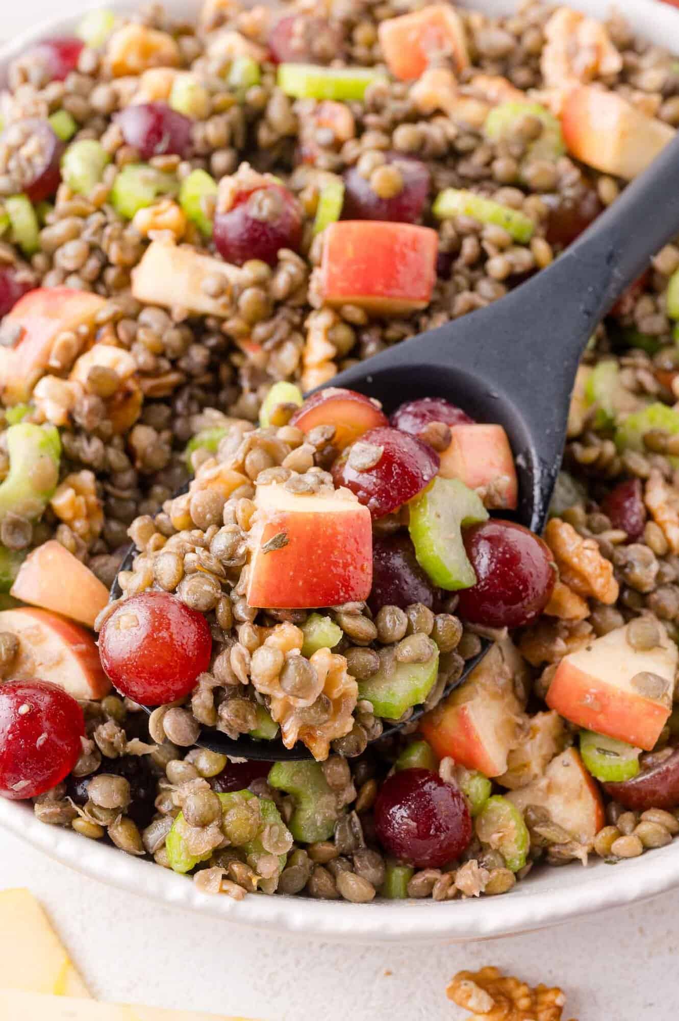 A close-up of a bowl of lentil Waldorf salad with grapes, diced apples, celery, and walnuts, with a black spoon scooping some of the mixture.