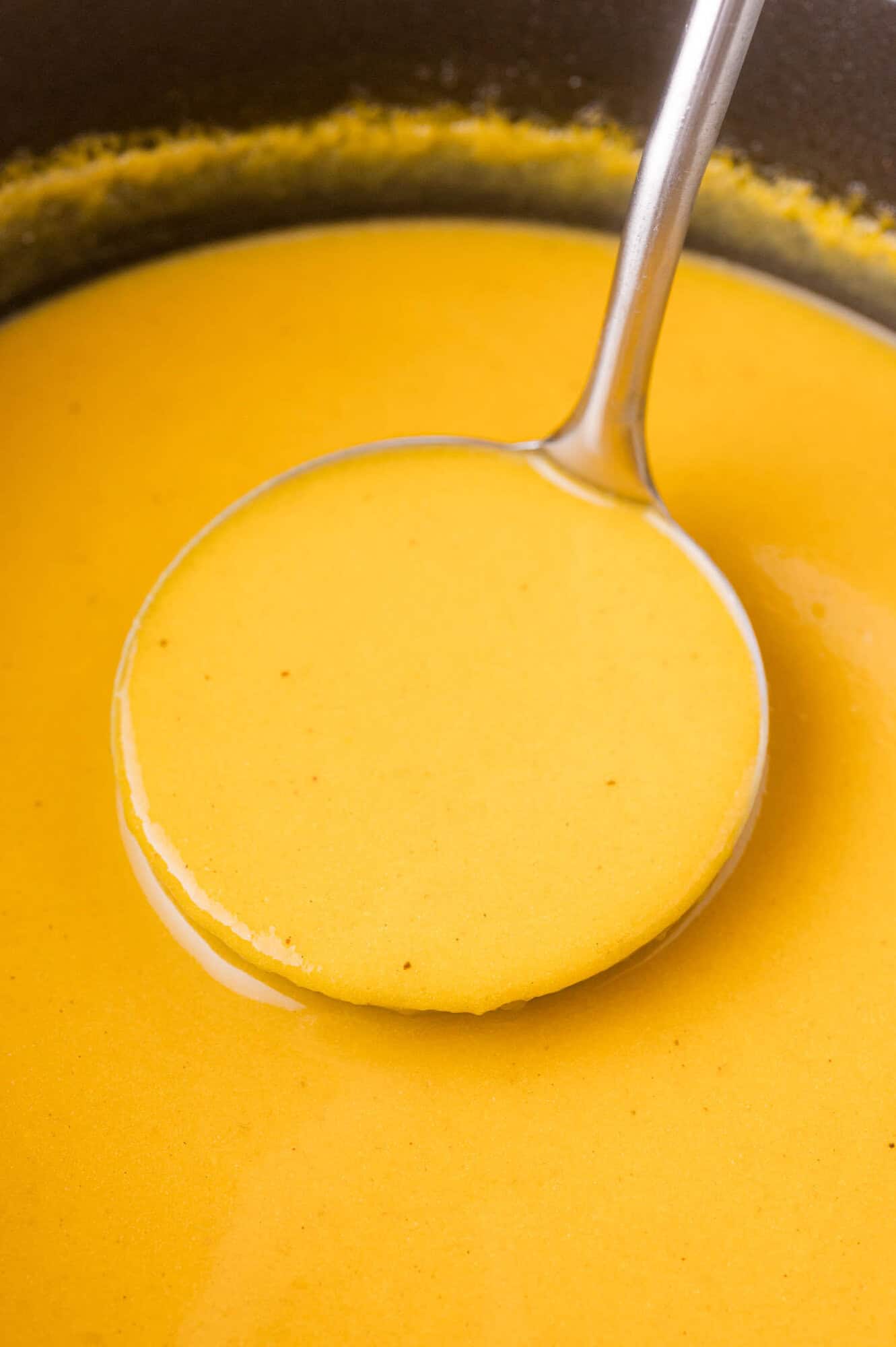 A metal ladle scooping up creamy squash soup from a pot.