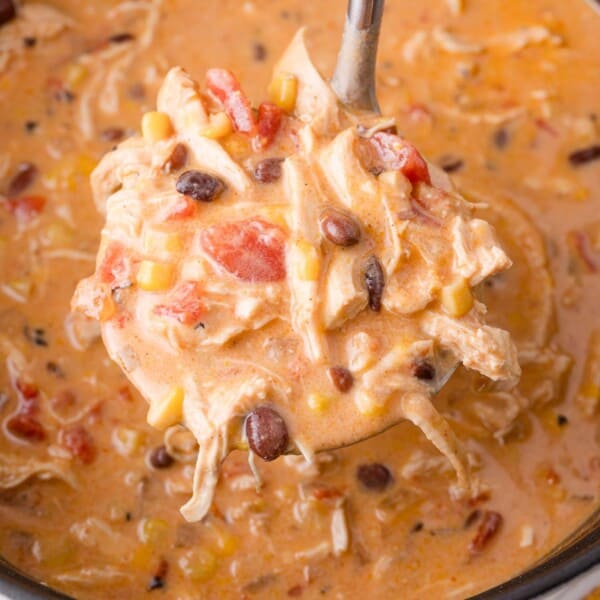 A ladle holds a creamy chicken enchilada soup with shredded chicken, black beans, corn, diced tomatoes, and spices over a pot of the same soup.