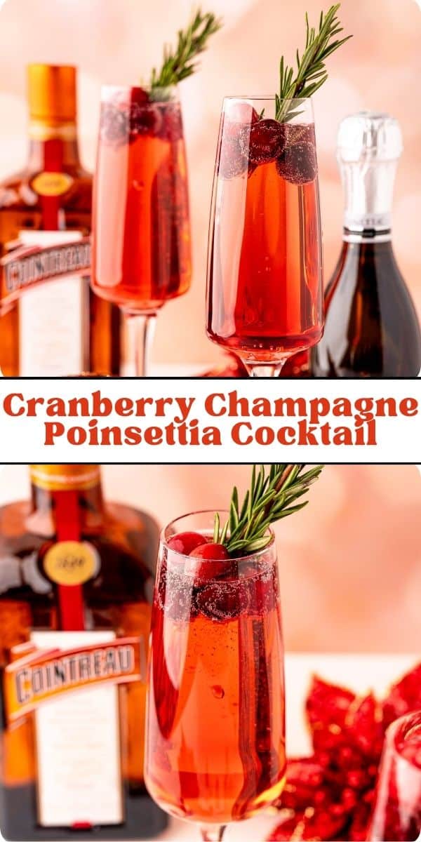 Poinsettia Cocktail Pinterest graphic with text and photos.