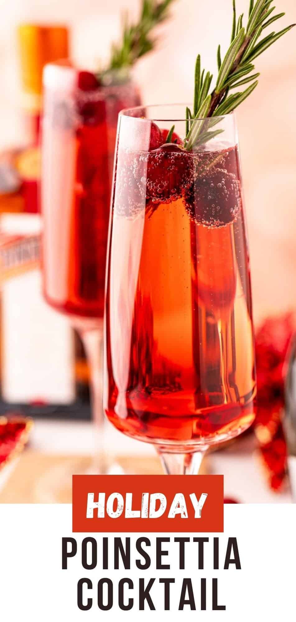 Poinsettia Cocktail Pinterest graphic with text and photos.