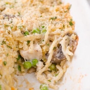 Close-up of a baked chicken tetrazinni casserole featuring spaghetti, peas, mushrooms, chicken, and a breadcrumb topping in a white dish.