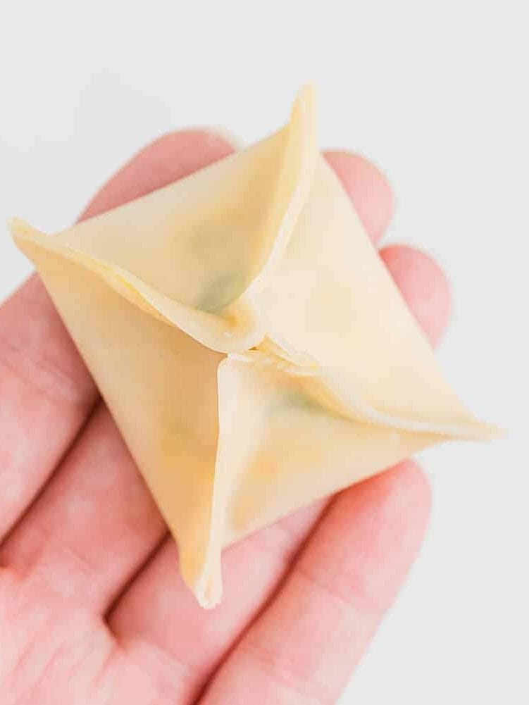 A hand holding an uncooked, folded pastry with four pointed corners against a plain white background.