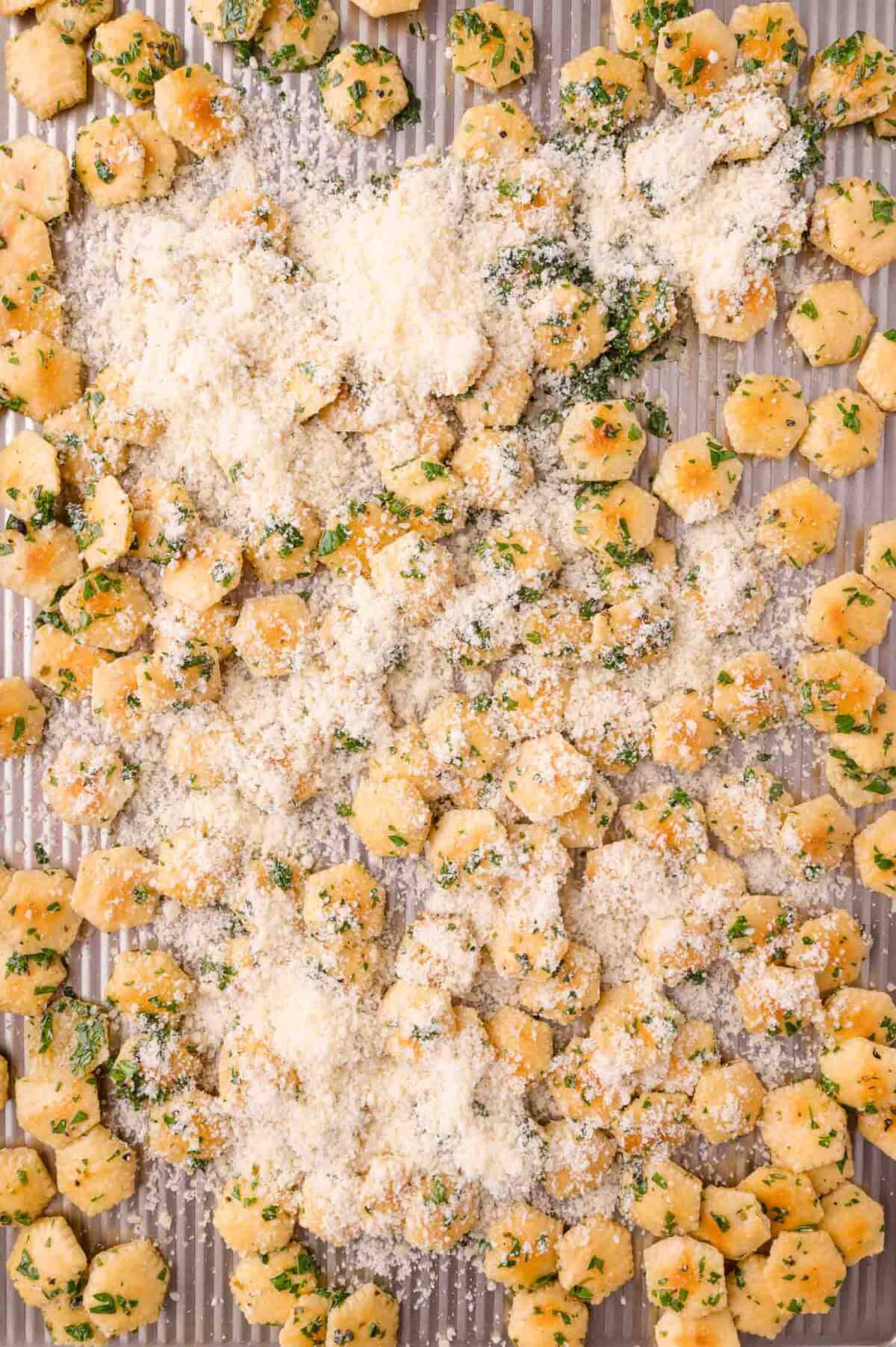 Oyster crackers covered with grated cheese and chopped herbs spread out on a metal baking sheet.