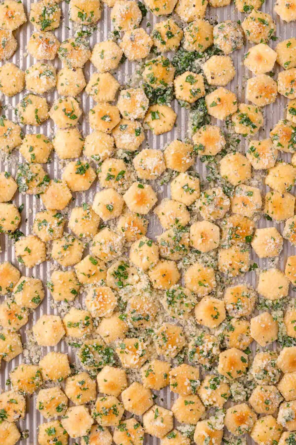 Baked hexagonal crackers coated with herbs and grated cheese are spread evenly on a metal baking sheet.