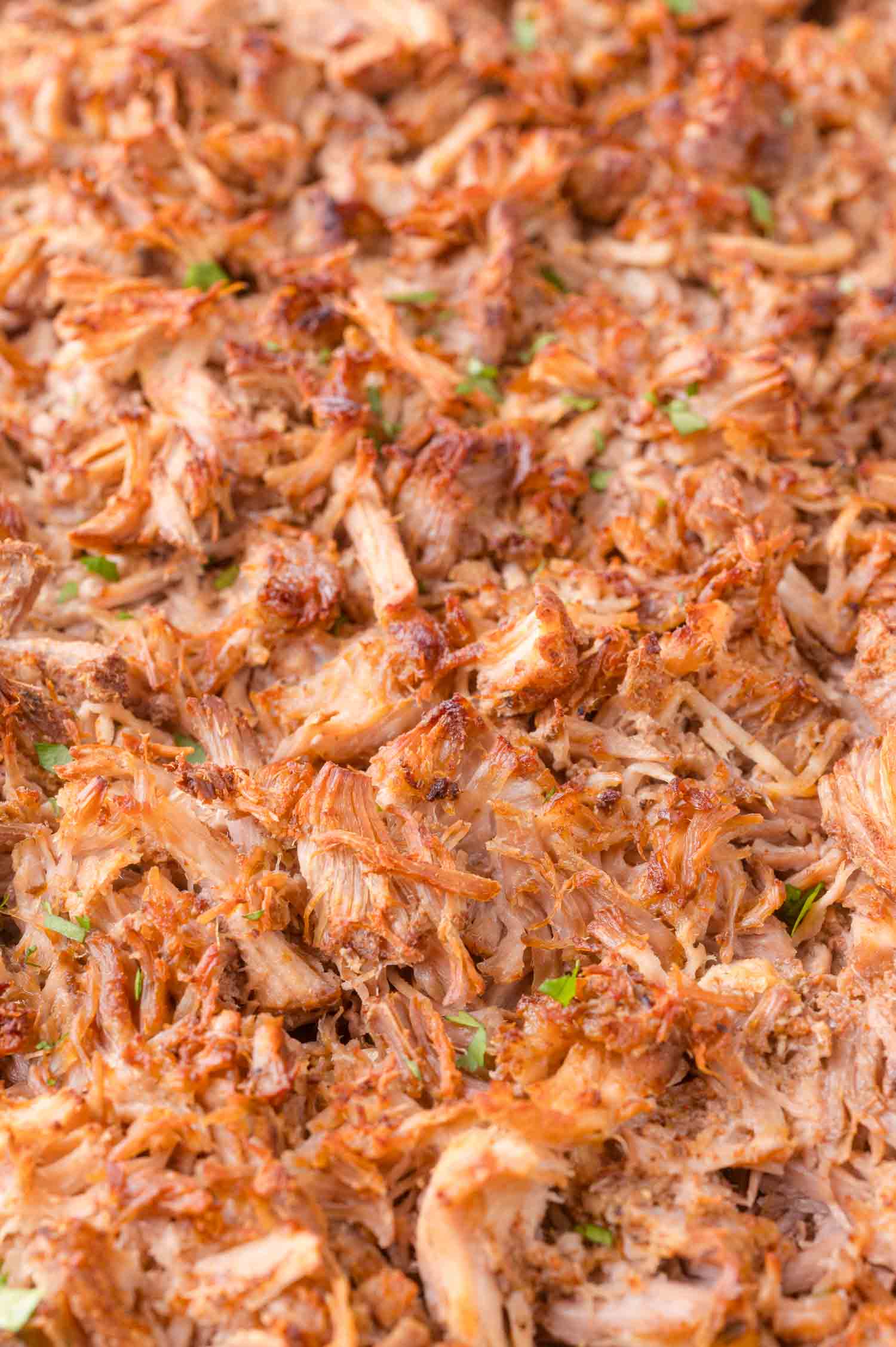 Close-up of shredded, cooked pork carnitas with crispy browned edges and small pieces of chopped herbs.