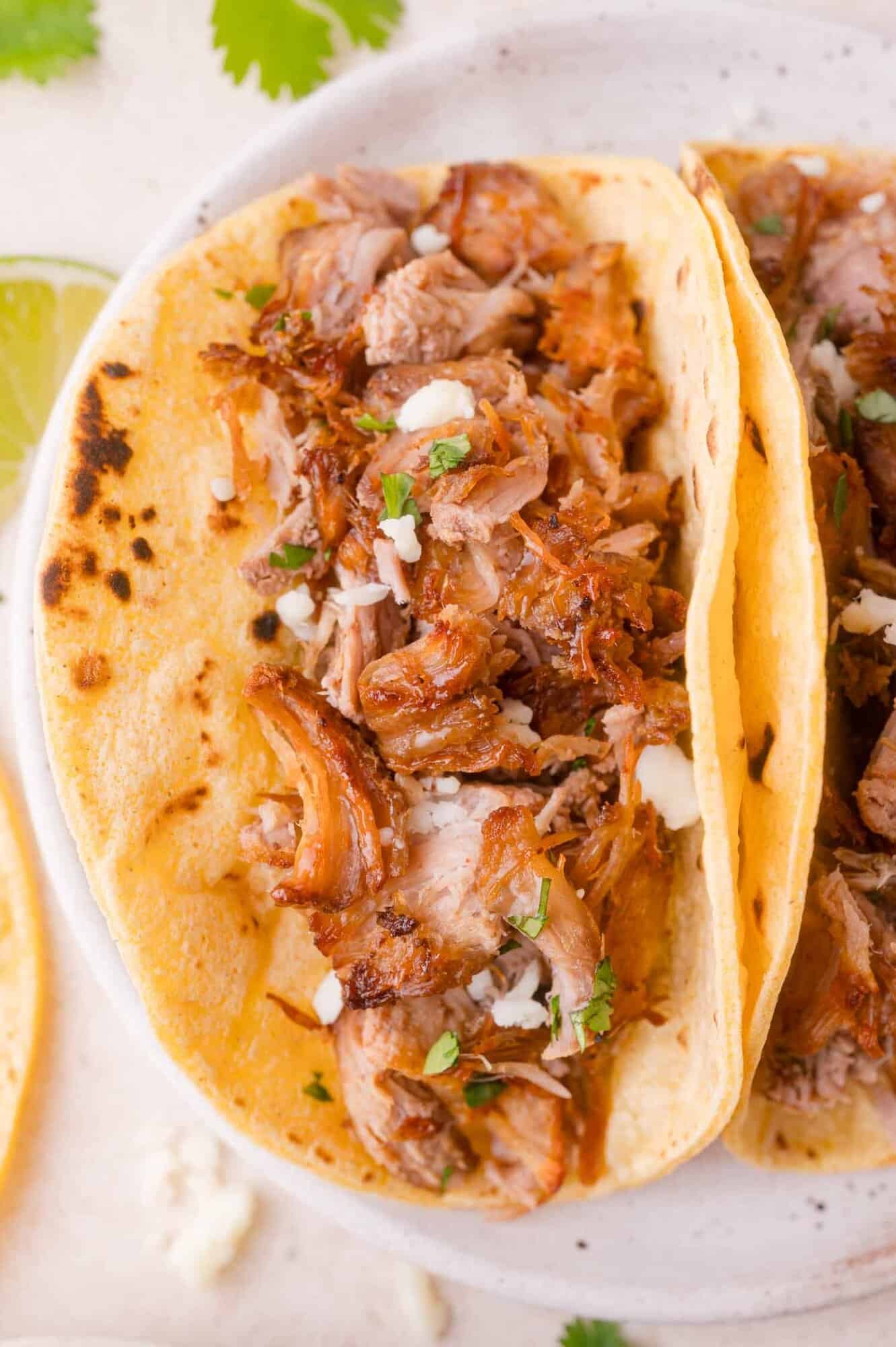 A close-up of a taco filled with shredded, seasoned carnitas, garnished with chopped herbs and cheese, served on a lightly toasted corn tortilla.