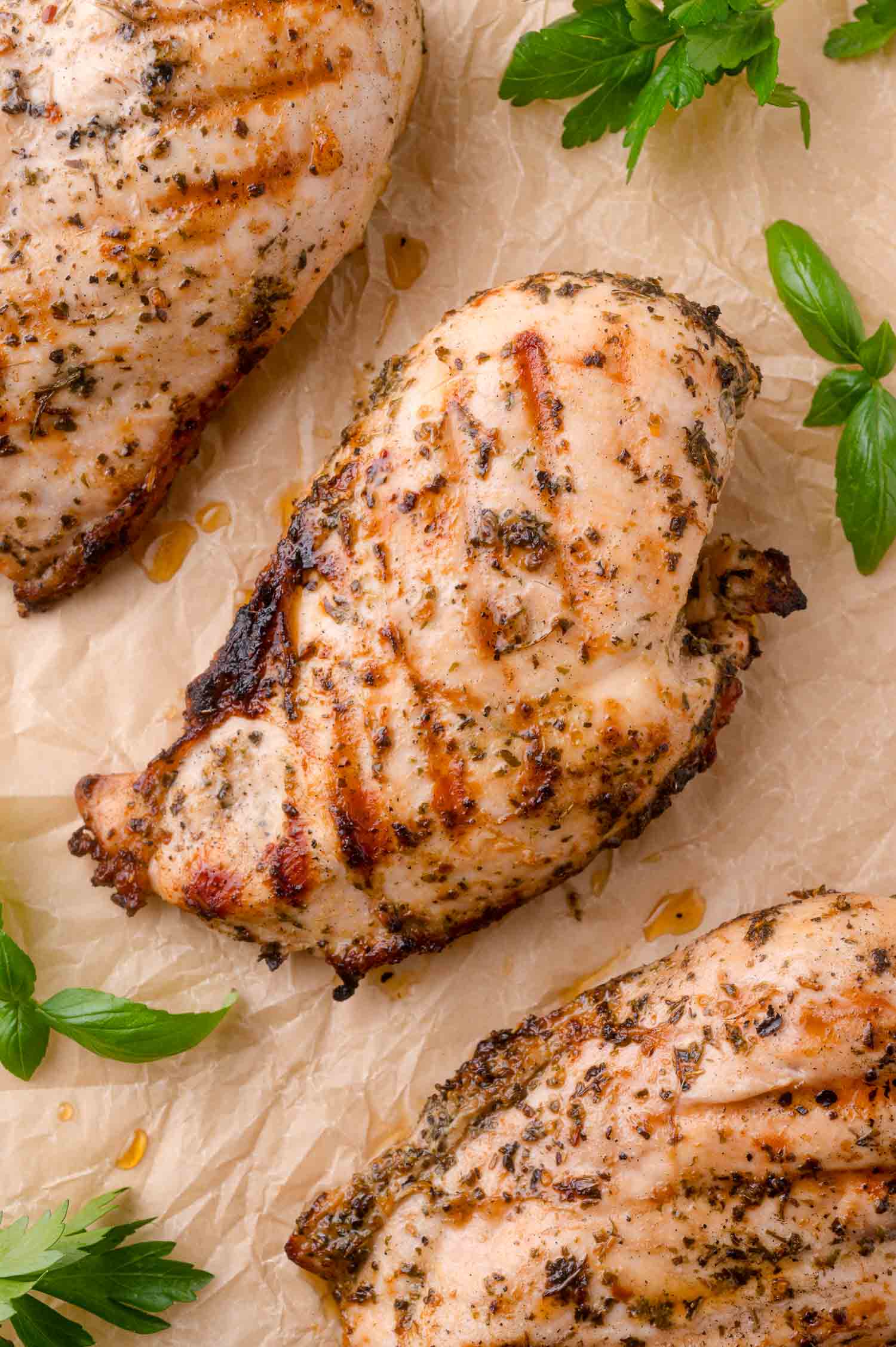Grilled chicken breasts seasoned with herbs, resting on parchment paper with fresh green herbs nearby.
