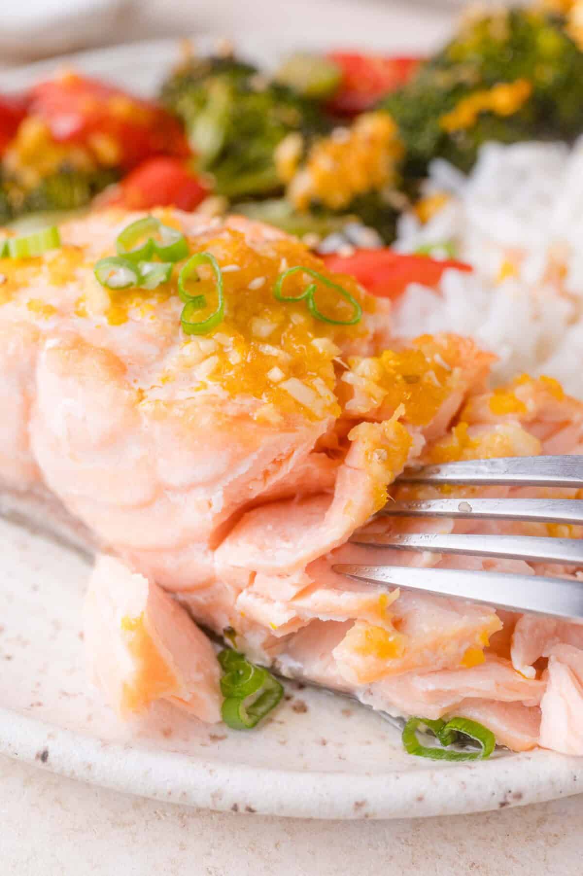 A close-up of a cooked salmon fillet topped with sauce and chopped green onions, served with rice and roasted vegetables on a plate.