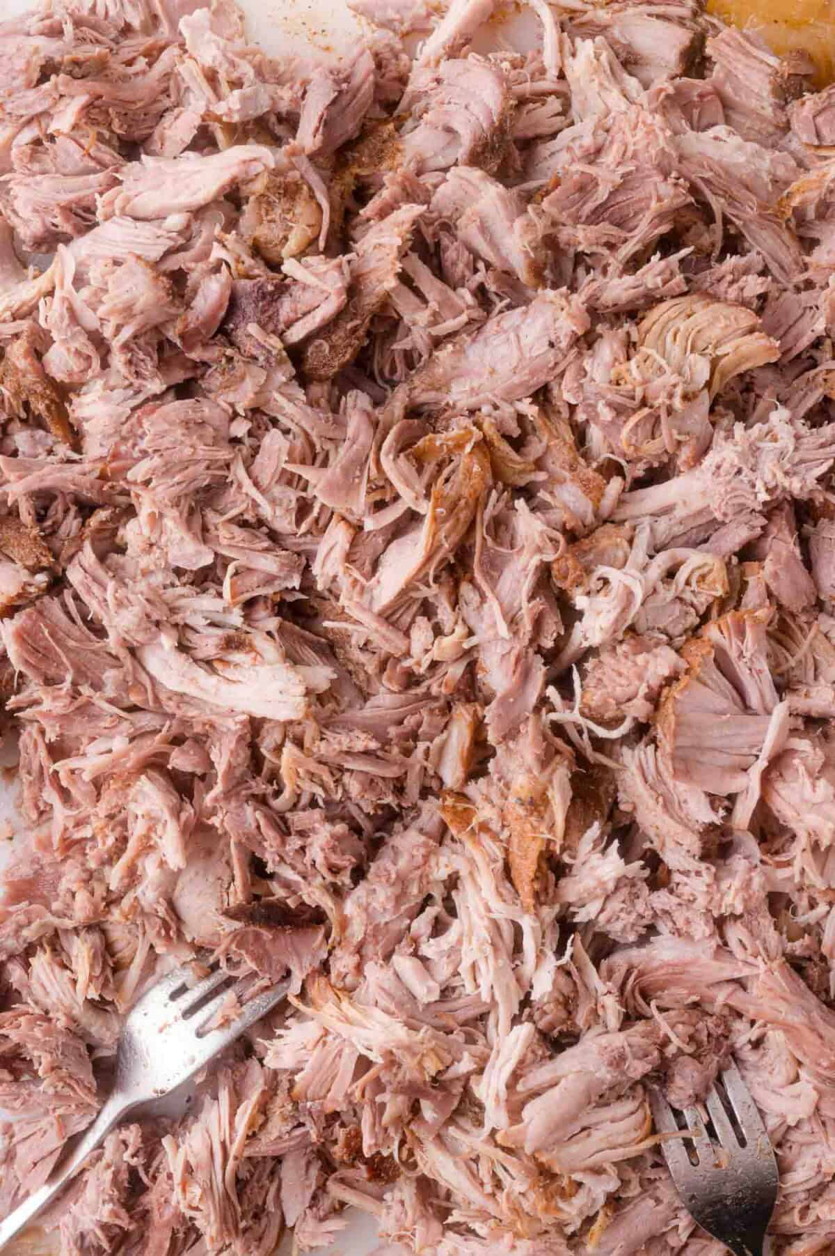 Shredded cooked apple cider pork with two metal forks visible at the bottom edge of the image.